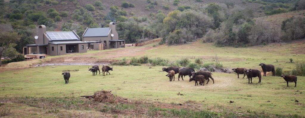 Botlierskop Bush Villas Sandhoogte Exterior foto